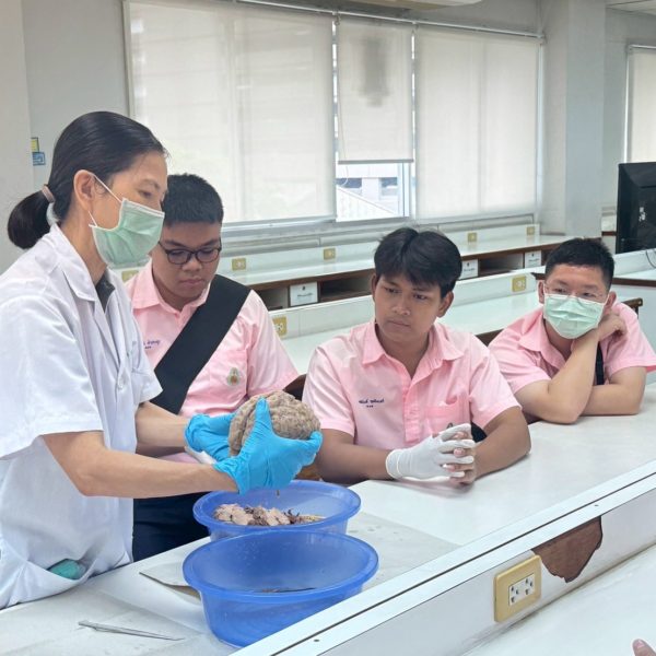 อบรมเชิงปฏิบัติการกายวิภาคศาสตร์